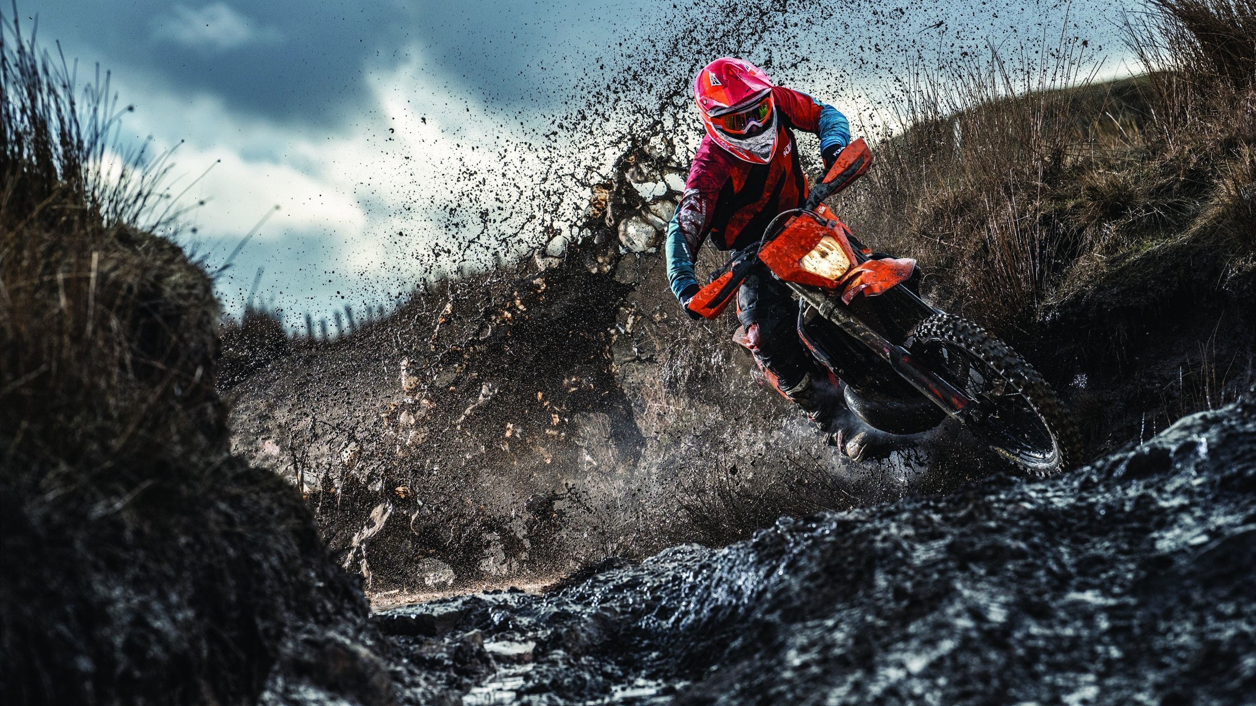 墨尔本联关键比赛表现坚韧，墨尔本联队什么水平